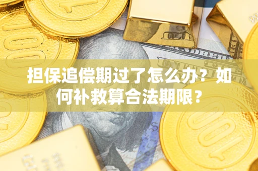 北京担保追偿期过了怎么办？如何补救算合法期限？